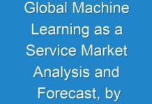 Global Machine Learning as a Service Market Analysis and Forecast, by End Use Application 2025