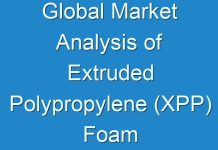 Global Market Analysis of Extruded Polypropylene (XPP) Foam