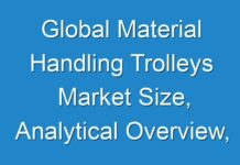 Global Material Handling Trolleys Market Size, Analytical Overview, Growth Factors, Demand, Trends And Forecast To 2025