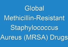 Global Methicillin-Resistant Staphylococcus Aureus (MRSA) Drugs Market To Reach Over Us$ 3.9 Billion By 2025