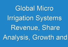 Global Micro Irrigation Systems Revenue, Share Analysis, Growth and Regional Outlook (2017-2023)