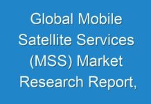 Global Mobile Satellite Services (MSS) Market Research Report, Revenue, Manufactures and Forecast Until 2027
