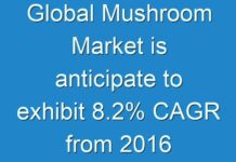 Global Mushroom Market is anticipate to exhibit 8.2% CAGR from 2016 to 2024