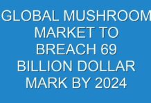 GLOBAL MUSHROOM MARKET TO BREACH 69 BILLION DOLLAR MARK BY 2024