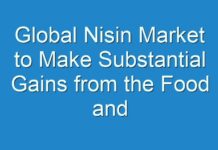 Global Nisin Market to Make Substantial Gains from the Food and Beverage Industry