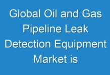 Global Oil and Gas Pipeline Leak Detection Equipment Market is anticipate to exhibit 6.8% CAGR by 2024