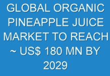 GLOBAL ORGANIC PINEAPPLE JUICE MARKET TO REACH ~ US$ 180 MN BY 2029
