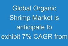 Global Organic Shrimp Market is anticipate to exhibit 7% CAGR from 2019 to 2029