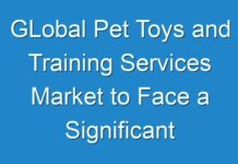 GLobal Pet Toys and Training Services Market to Face a Significant Slowdown in 2024, as COVID-19 Sets a Negative Tone for Investors