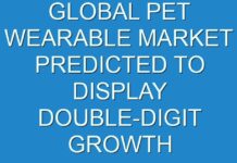 GLOBAL PET WEARABLE MARKET PREDICTED TO DISPLAY DOUBLE-DIGIT GROWTH IN NEAR FUTURE