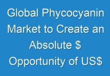 Global Phycocyanin Market to Create an Absolute $ Opportunity of US$ 113 Mn by 2028