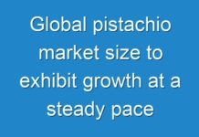 Global pistachio market size to exhibit growth at a steady pace through 2026, SAYS TMR