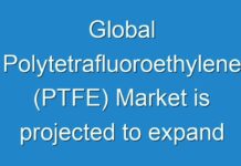 Global Polytetrafluoroethylene (PTFE) Market is projected to expand 4.6% CAGR from 2016 to 2024