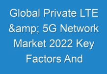 Global Private LTE & 5G Network Market 2024 Key Factors And Emerging Opportunities With Current Trends Analysis 2025