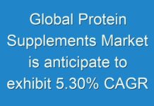 Global Protein Supplements Market is anticipate to exhibit 5.30% CAGR from 2017 to 2024