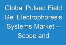 Global Pulsed Field Gel Electrophoresis Systems Market – Scope and Opportunities Analysis 2024 – 2031