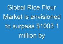 Global Rice Flour Market is envisioned to surpass $1003.1 million by 2025: TMR
