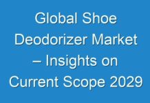 Global Shoe Deodorizer Market – Insights on Current Scope 2029