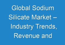 Global Sodium Silicate Market – Industry Trends, Revenue and Forecast Analysis to 2025