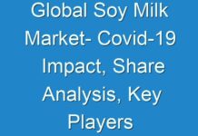 Global Soy Milk Market- Covid-19 Impact, Share Analysis, Key Players and Opportunities to 2025