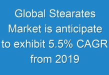 Global Stearates Market is anticipate to exhibit 5.5% CAGR from 2019 to 2027
