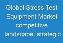 Global Stress Test Equipment Market competitive landscape, strategic assessment and forecast till 2030