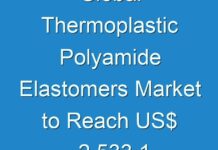 Global Thermoplastic Polyamide Elastomers Market to Reach US$ 2,533.1 Mn by 2027