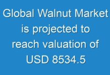 Global Walnut Market is projected to reach valuation of USD 8534.5 million by 2025