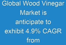 Global Wood Vinegar Market is anticipate to exhibit 4.9% CAGR from 2017 to 2025