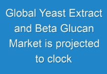 Global Yeast Extract and Beta Glucan Market is projected to clock 7.6% CAGR from 2015 to 2024