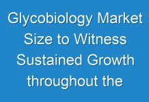 Glycobiology Market Size to Witness Sustained Growth throughout the Forecast Period