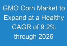 GMO Corn Market to Expand at a Healthy CAGR of 9.2% through 2026