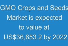 GMO Crops and Seeds Market is expected to value at US$36,653.2 by 2024
