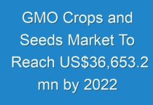 GMO Crops and Seeds Market To Reach US$36,653.2 mn by 2024