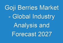 Goji Berries Market – Global Industry Analysis and Forecast 2027