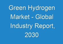 Green Hydrogen Market – Global Industry Report, 2030