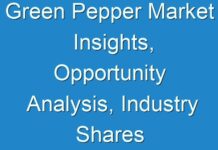 Green Pepper Market Insights, Opportunity Analysis, Industry Shares And Forecast 2017-2022