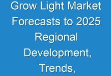 Grow Light Market Forecasts to 2025 Regional Development, Trends, Strategy and Profitability Analysis