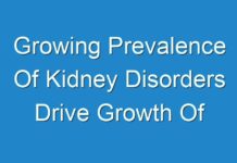 Growing Prevalence Of Kidney Disorders Drive Growth Of Glomerulonephritis Treatment Market Over Forecast Period
