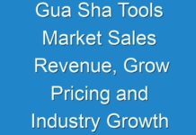 Gua Sha Tools Market Sales Revenue, Grow Pricing and Industry Growth Analysis