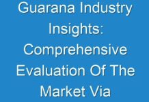 Guarana Industry Insights: Comprehensive Evaluation Of The Market Via In-Depth Qualitative Insights 2019 – 2027
