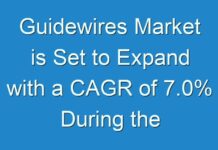 Guidewires Market is Set to Expand with a CAGR of 7.0% During the Forecast Period 2024 to 2025