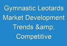 Gymnastic Leotards Market Development Trends & Competitive Analysis by Leading Industry Players by 2028