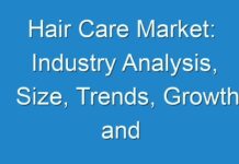 Hair Care Market: Industry Analysis, Size, Trends, Growth and Forecast 2024