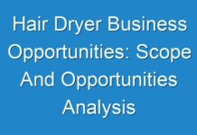 Hair Dryer Business Opportunities: Scope And Opportunities Analysis 2024-2030