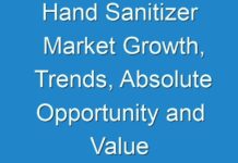 Hand Sanitizer Market Growth, Trends, Absolute Opportunity and Value Chain 2024-2030