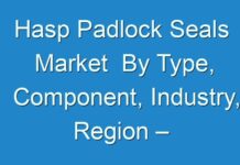 Hasp Padlock Seals Market By Type, Component, Industry, Region – Market Size, Demand Forecasts,2027