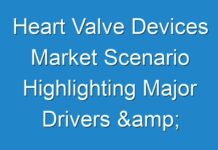 Heart Valve Devices Market Scenario Highlighting Major Drivers & Trends, 2024 to 2025