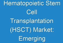 Hematopoietic Stem Cell Transplantation (HSCT) Market: Emerging Analysis, Future Growth and Business Opportunities 2026