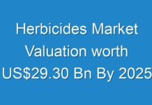 Herbicides Market Valuation worth US$29.30 Bn By 2025